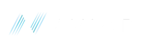 Avior Capital Markets